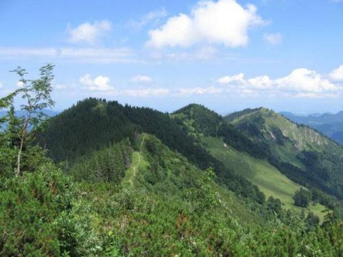 Landgasthof Kirchenwirt Grossraming Luaran gambar
