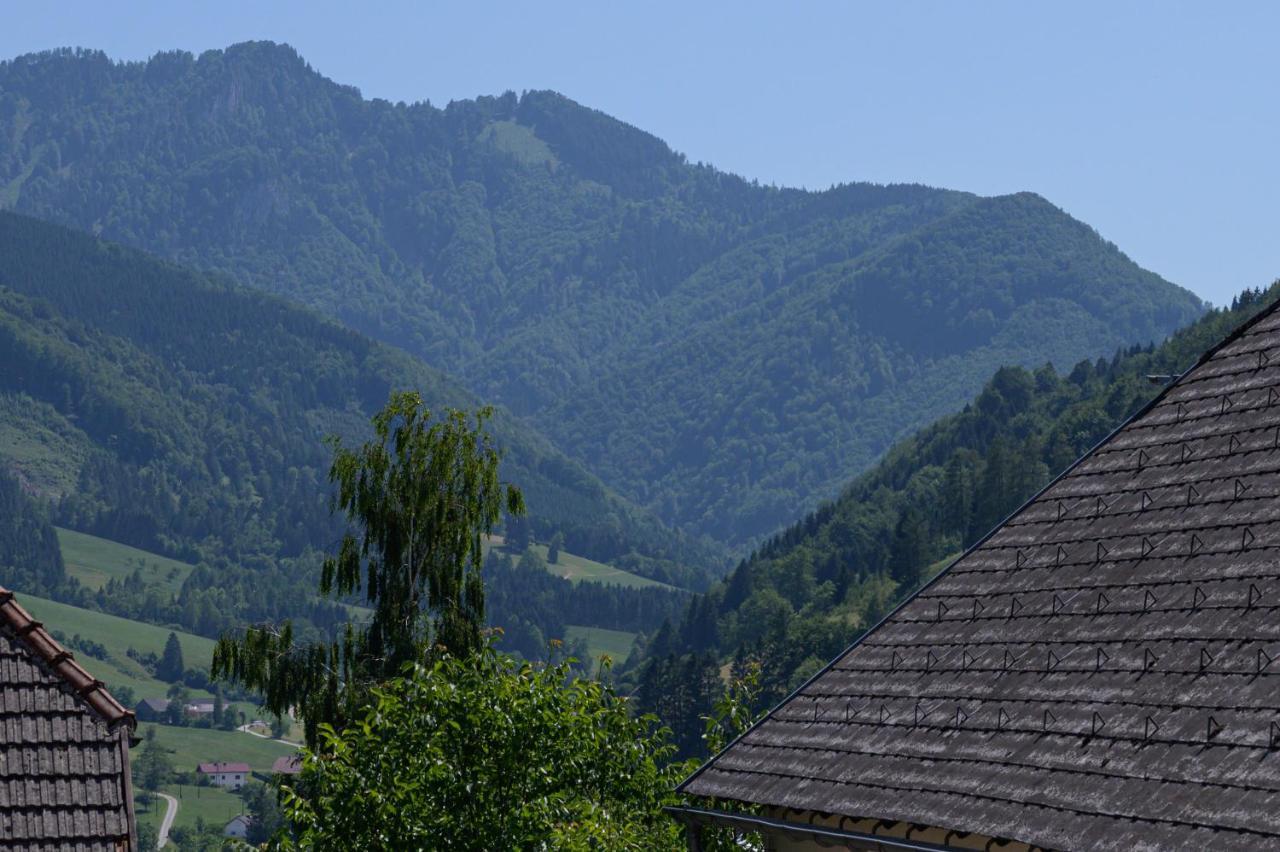 Landgasthof Kirchenwirt Grossraming Luaran gambar